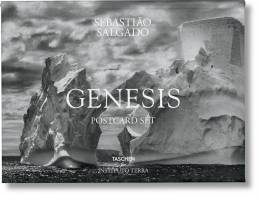 Salgado Genesis Postcard Set