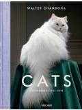 Walter Chandoha. Cats. Photographs 1942–2018